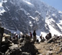 Coya Tours
