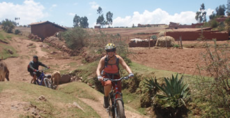 Maras